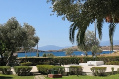 Blick von der Terrasse