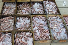 Fischhalle