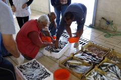 Fischhalle