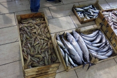 Fischhalle