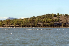 Vogelparadies