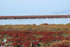 Vogelparadies