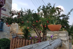 Tour Karaburun