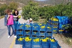 Tour Karaburun
