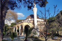 Birgi