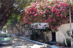 Yenifoca Altstadt